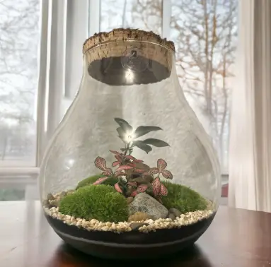terrarium à Montigny-la-Resle