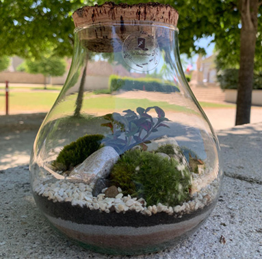terrarium à Montigny-la-Resle